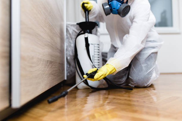 Best Best Pest Control Companies  in Columbia Falls, MT