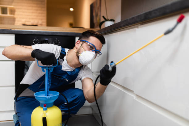 Best Termite Control Services  in Columbia Falls, MT