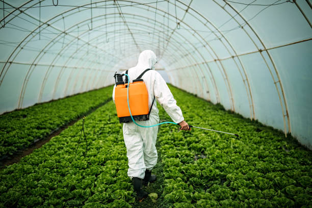 Best Pest Control Cost  in Columbia Falls, MT