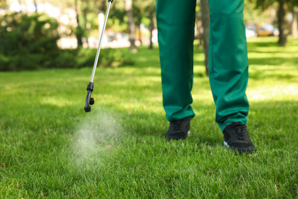Best Bed Bug Extermination  in Columbia Falls, MT