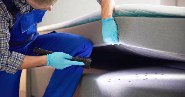 Best Pest Control for Businesses  in Columbia Falls, MT