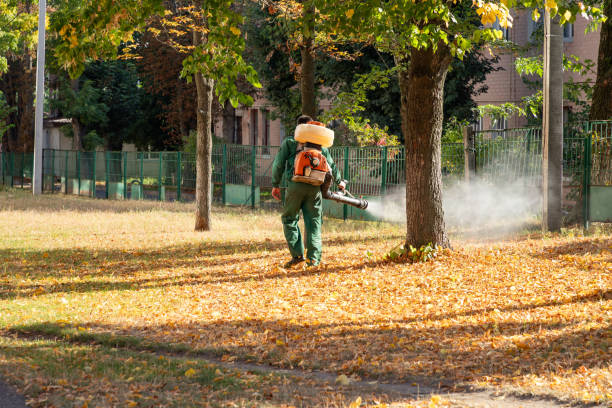 Best Emergency Pest Control  in Columbia Falls, MT