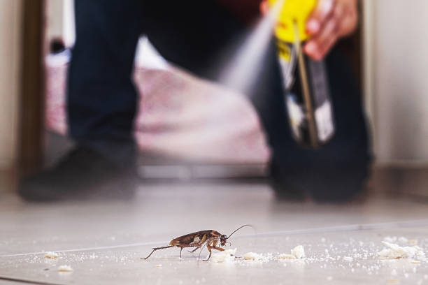 Pest Control Cost in Columbia Falls, MT